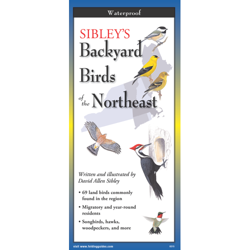 BirdsNE__55272.1726684121.1280.1280