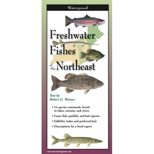 FrFish__22959.1726751718.1280.1280