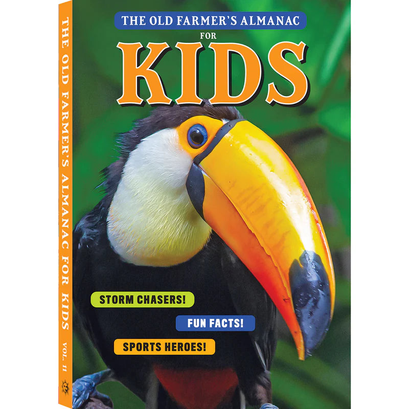 Kids-V11_front_cover_3d_spine_1280px