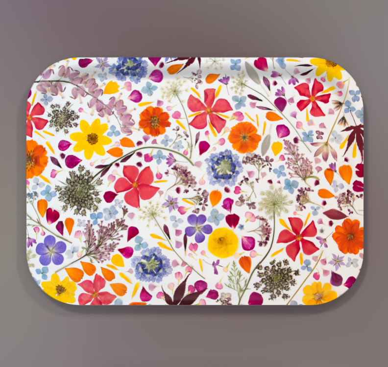 MandevillaandDaucus11x8tray
