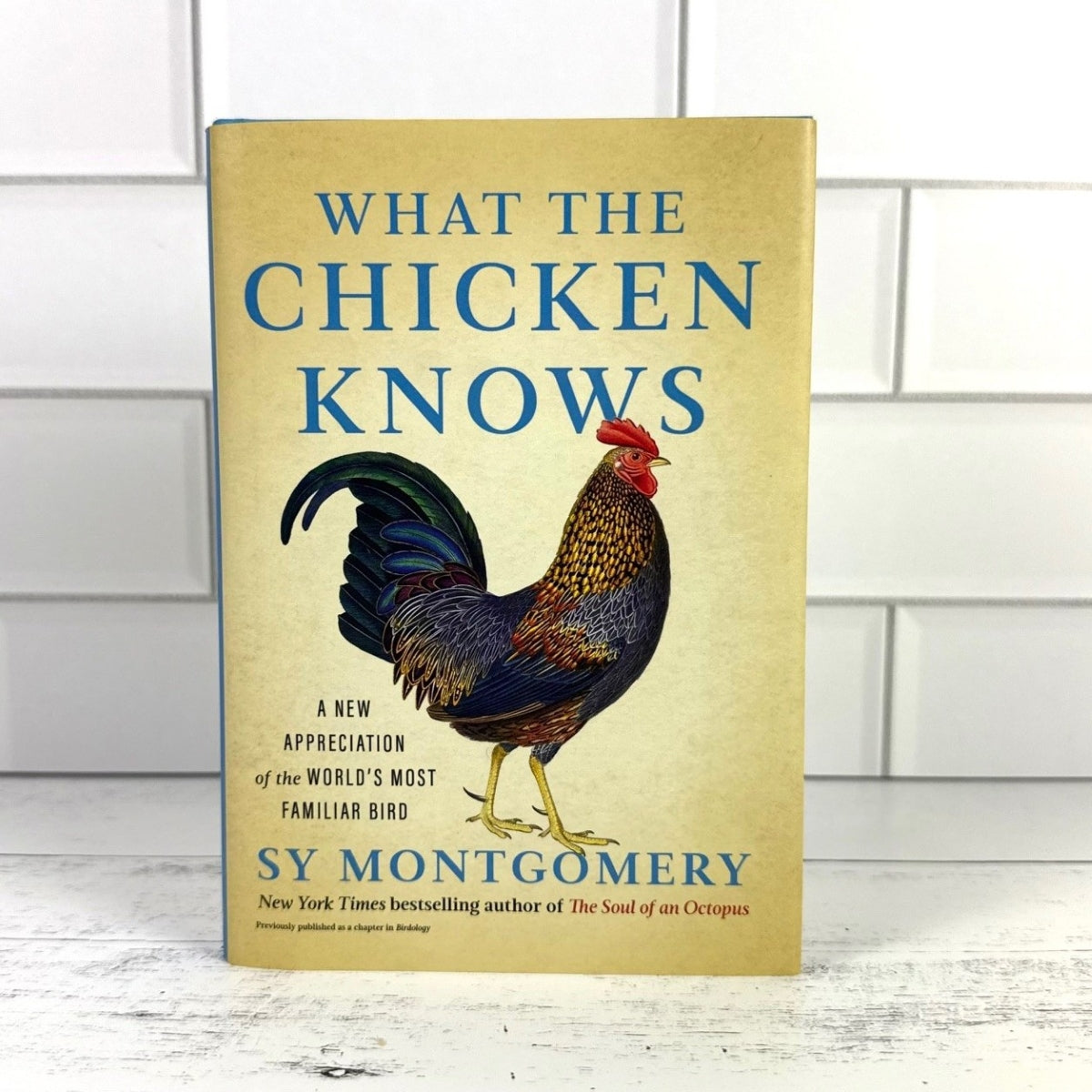 WhattheChickenKnows_white
