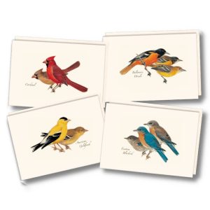 Peterson’s Bird Notecard Assortment