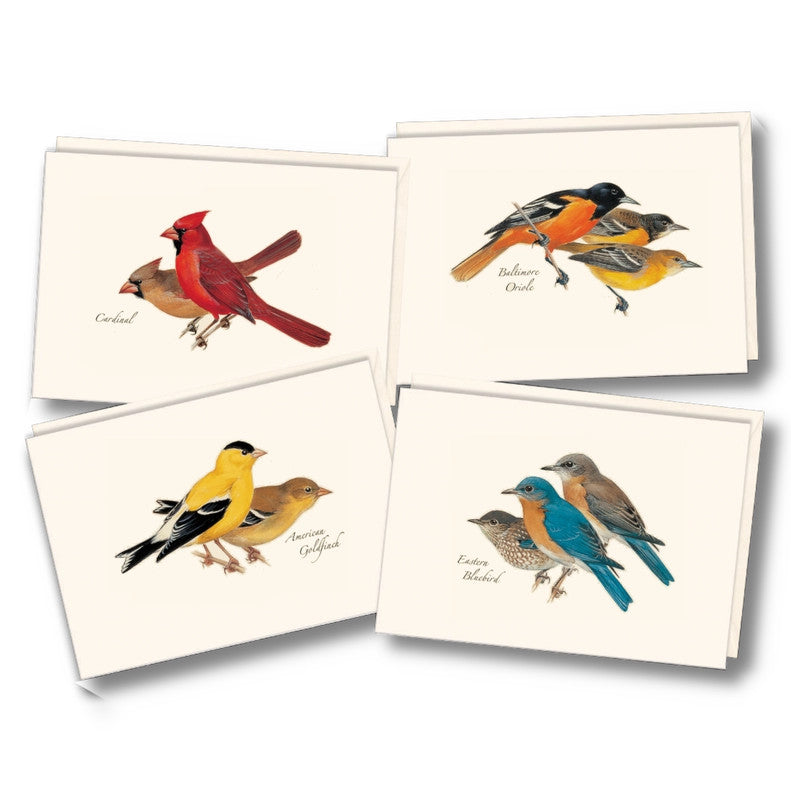 birds1__40484.1730394946.1280.1280