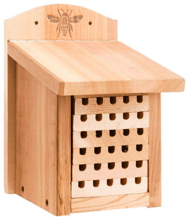 mason-bee-house__74824.1732065519.1280.1280