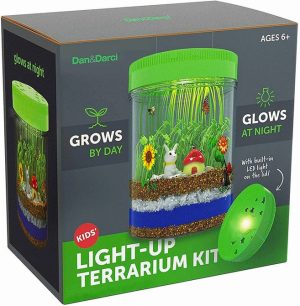 Light -Up Terrarium Kit